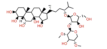 Culcitoside C1
